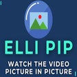 Programikonen: Elli PiP