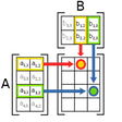 Icono de programa: MatrizApp