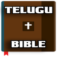 Icon of program: Telugu Bible