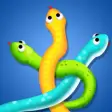 Snake Master - Tangled Puzzle