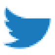 Icon of program: Remove Twitter For You