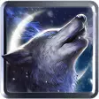 Lonely Howl Wolf HD