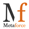程序图标：Metaforce