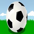 程序图标:New Star Soccer