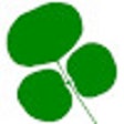 大洋在线抓取 icon