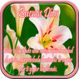 Flores con frases cristianas icon