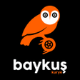 Programikonen: Baykus Kurye