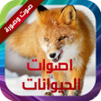 Programikonen: أصوات الحيوانات صوت وصورة