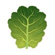 Иконка программы: Ingredients: Healthy Reci…