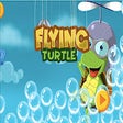 程序图标：Flying Turtle Game