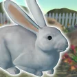 Programikonen: Rabbit Friends - caring g…