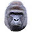 Иконка программы: Harambe Zoo