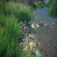 Icon of program: Malaria RT 3D (fake GI sh…