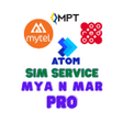 Иконка программы: SSM PRO