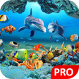 Icoon van programma: Fish Live Wallpaper 3D Aq…