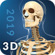 Иконка программы: My Skeleton Anatomy