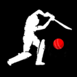 プログラムのアイコン：Cricket King