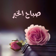 Programikonen: صور صباح الخير و مساء الخ…