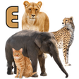 Иконка программы: Learn Animals Name Animal…