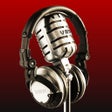 Иконка программы: Voice Record Pro