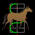 Programikonen: Dressage Lite for horse r…