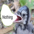 Programikonen: No Tweet Day