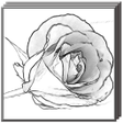 Easy Pencil Drawing Ideas icon
