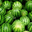 Programikonen: Watermelon Wallpapers