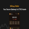Programın simgesi: BitSnap Wallet: Your Secu…