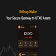 BitSnap Wallet: Your Secure Gateway to UTXO Assets