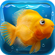 프로그램 아이콘: iQuarium - virtual fish