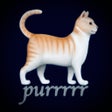 프로그램 아이콘: Cat Purr Generator
