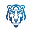 Icoon van programma: Blue Tiger USA
