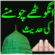 程序图标：Anguhtey Choomna Urdu