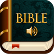프로그램 아이콘: KJV Audio Bible offline