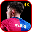 程序图标：Pedri Wallpapers