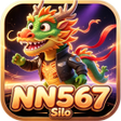 Icona del programma: NN567Silo