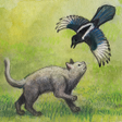 Icon of program: Milo and the Magpies