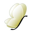Icon of program: Beauty Solutions LLC