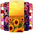 أيقونة البرنامج: Floral Wallpaper