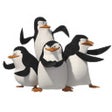 Ícone do programa: Social Share Assistant