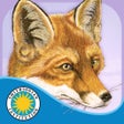 Programın simgesi: Red Fox at Hickory Lane