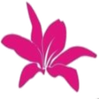 Icon of program: Dago Browser