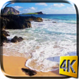 Icon of program: Ocean Live Wallpaper