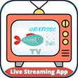 Ikon program: Gratisoe Tv Sport Guide