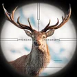 程序图标：Safari deer hunting games
