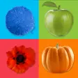 Learning Colors for Kids: Preschool