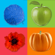 Programikonen: Learning Colors for Kids:…