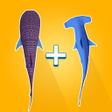 Icon of program: Merge Sharks