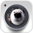Ícone do programa: Fisheye video camera Pro